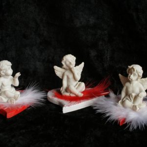 siegella angel 902755